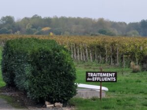 Los estudiantes de 786-Barten, una escuela de coctelería en Miami que en realidad viaja visitando un viñedo en Cognac, Francia, aprendiendo sobre la producción de coñac en medio de vides y equipos de destilería.