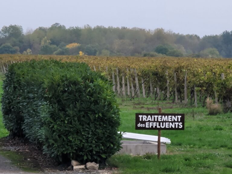 Los estudiantes de 786-Barten, una escuela de coctelería en Miami que en realidad viaja visitando un viñedo en Cognac, Francia, aprendiendo sobre la producción de coñac en medio de vides y equipos de destilería.