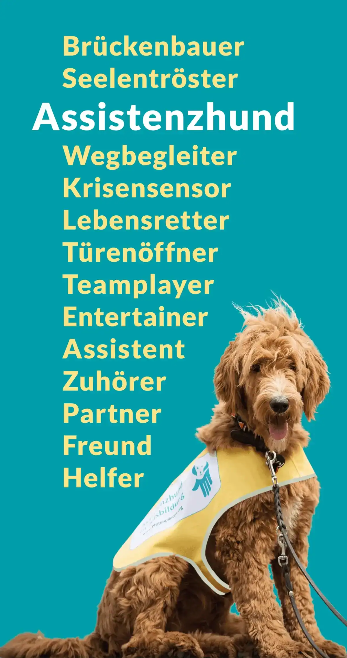Ein Labradoodle mit Kenndecke vor petrolfarbenem Hintergrund mit Worten wie Assistenzhund - Zuhörer, Partner. Lebensretter, Türenöffner, etc.