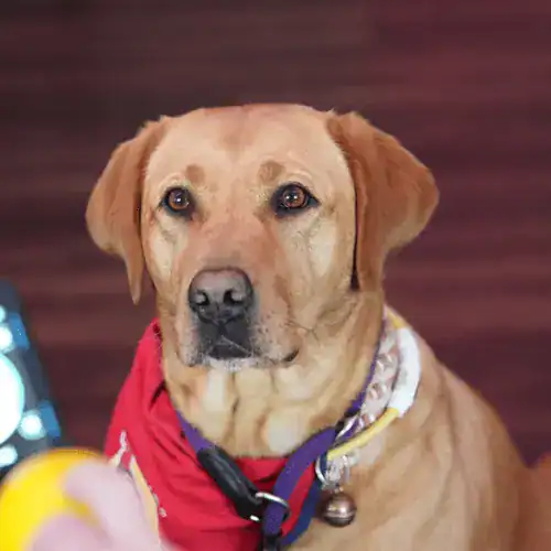 Unser Zertifizierungsschema..