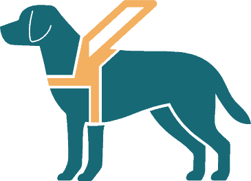 Assistenzhund Foundation-Ausbildung eines Assistenzhundes zur Unterstützung von Menschen mit Behinderungen.