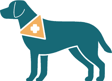 Assistenzhund trägt eine Weste und einen Kragen, wird darauf trainiert, Menschen mit Behinderungen zu unterstützen und die Unabhängigkeit zu verbessern.