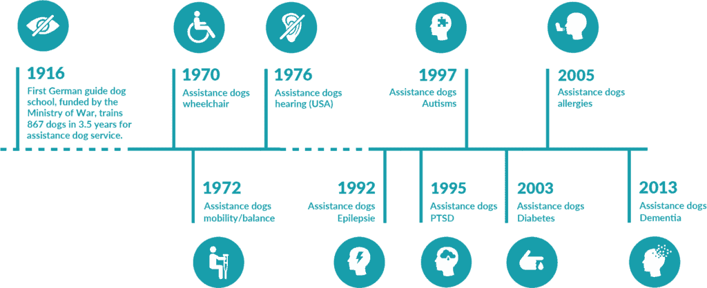 Assistenzhund Gründungszeitplan umfasst Assistenzhunde für Mobilitäts-, Hör-, Autismus-, Allergien-, Epilepsie-, PTBS-, Diabetes- und Demenzunterstützung.