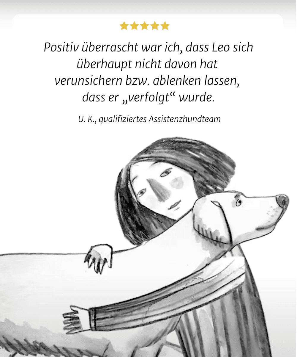 Ich war angenehm überrascht, dass Leo überhaupt nicht beunruhigt oder abgelenkt war, weil er "verfolgt" wurde. Großbritannien, qualifiziert  Assistenzhundteam