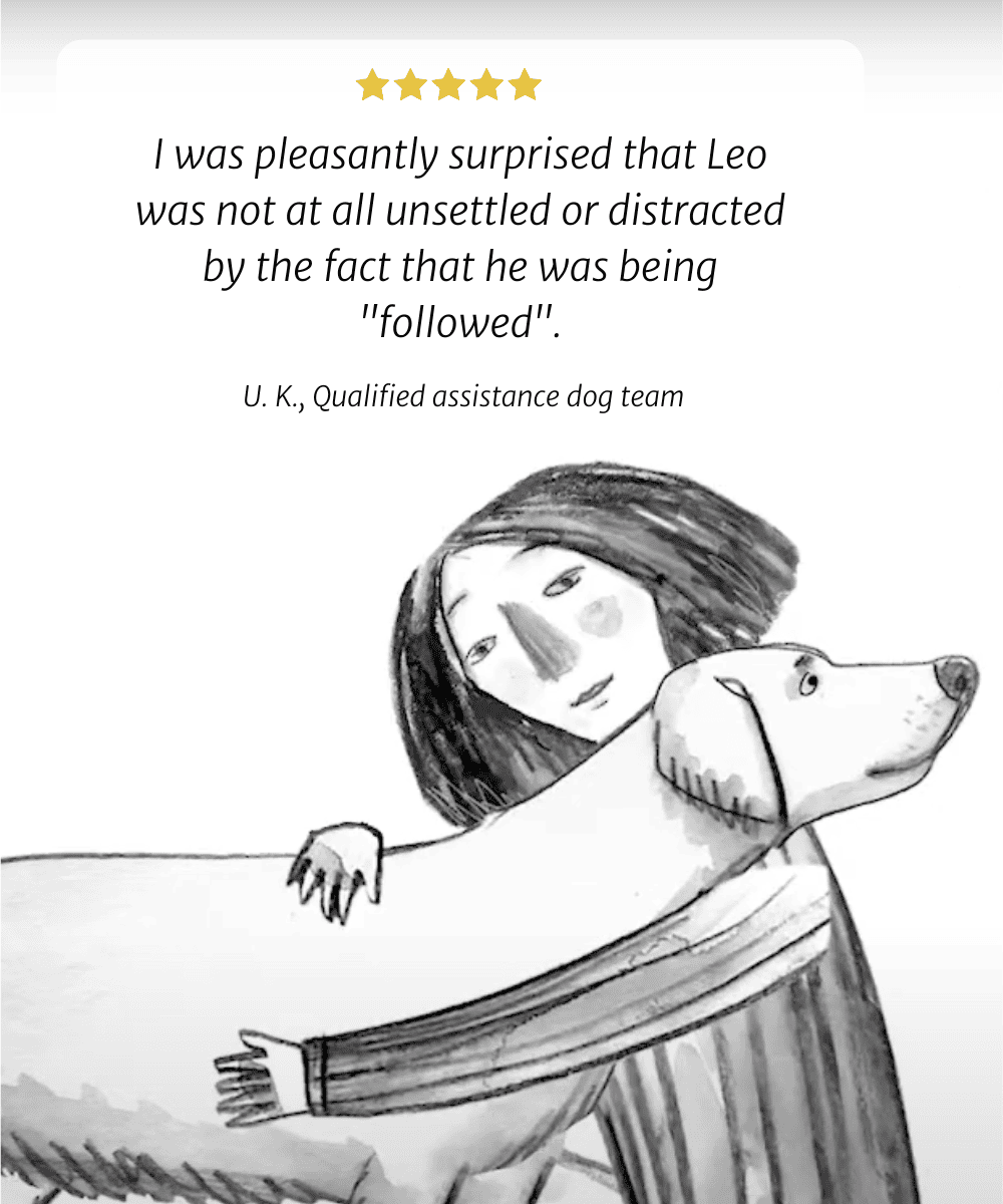 Ich war angenehm überrascht, dass Leo überhaupt nicht beunruhigt oder abgelenkt war, weil er "verfolgt" wurde. Großbritannien, qualifiziert  Assistenzhundteam 