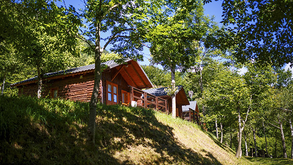 Die Aufteilung des Campingplatzes