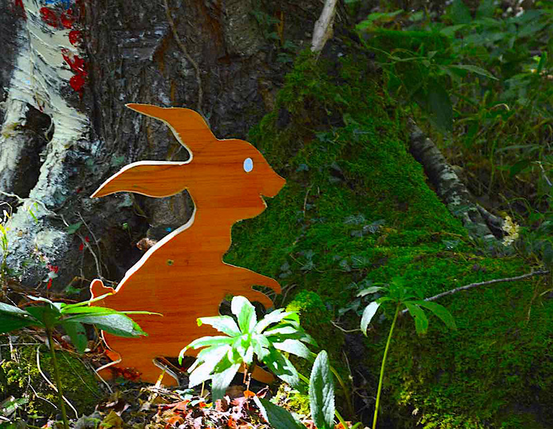 Enchanted Forest