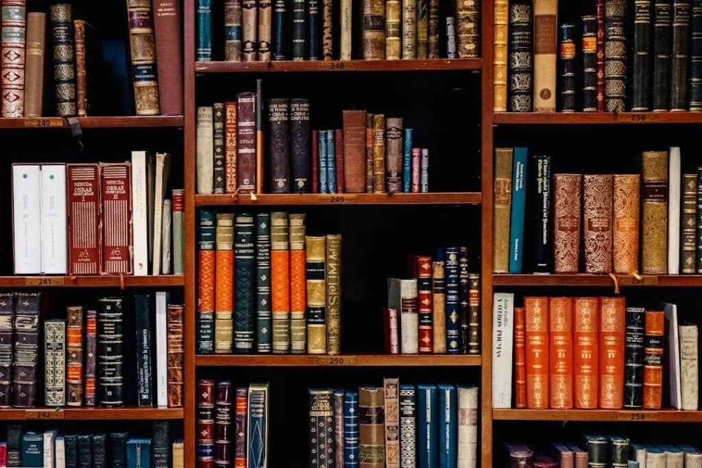 Image of Scholarships for Adults: Unlocking Opportunities for Lifelong Learners in 2024 2025