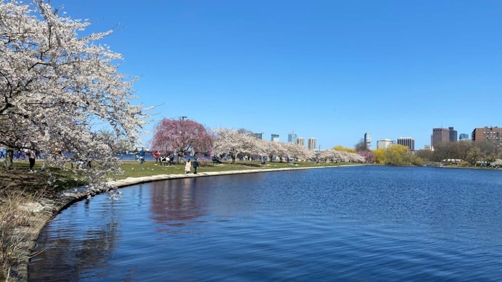 Image of How to Choose the Best College for Me in the USA in 2025? Top 12 Tips for Choosing the Best College for You in the USA in 2025