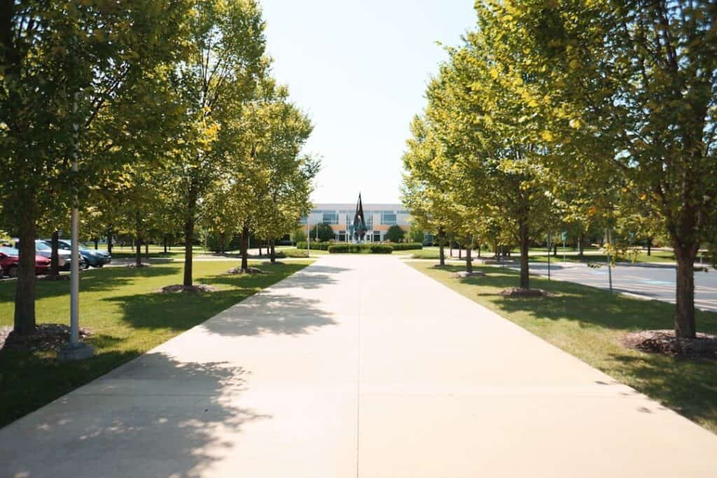 Image of How to Get into College for Free in 2025: The Ultimate Guide for your College Admissions and Funding