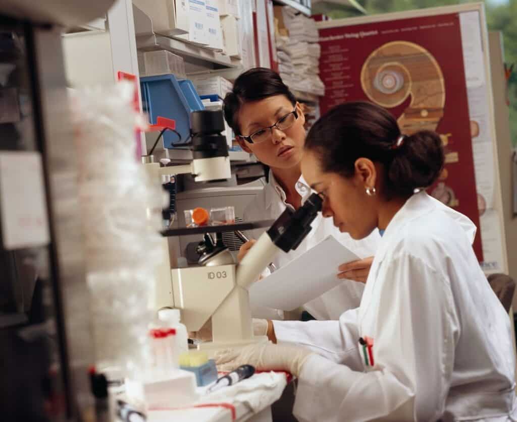 Image of Top 20 Highest Paying Majors in 2024 2025: Securing Your Financial Future