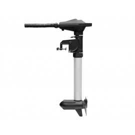 Haswing Ventura T 5.0 / 2500W 24V