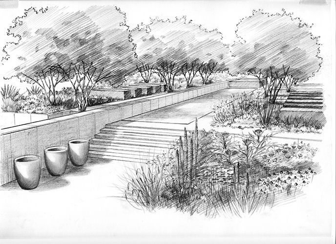 Un jardín diseñado con un camino central. Los árboles se alinean a los lados. Unos pocos escalones descansando en dos niveles del terreno. Tres grandes macetas ocupan el primer plano, rodeadas de varias plantaciones variadas dispuestas en camas ligeras y estructuradas.