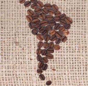 roasted coffee beans south america
