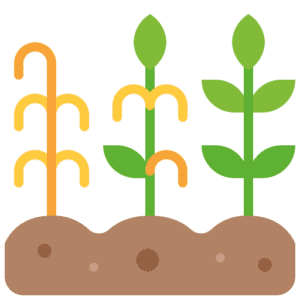 Monitoreo de cultivos