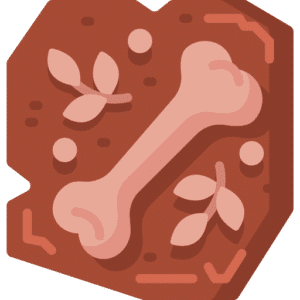 Estudios arqueológicos