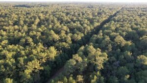 Screenshot_20221007_201316-1714854704