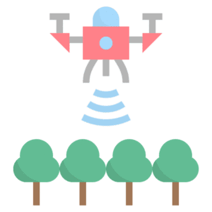 Encuestas forestales