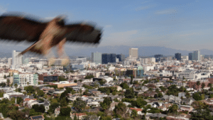 Drones con alto alcance