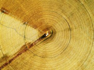 28161454_162329927821381_7603792897503379944_o-1720041840