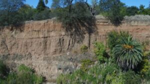 Best Drone For Landscape Video