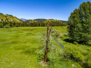 Los mejores drones para fotografía de naturaleza