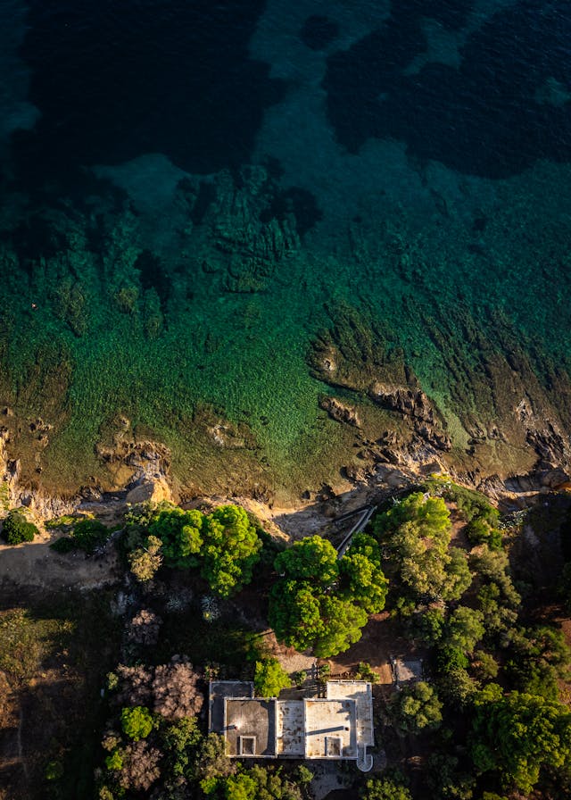 pexels-janeski-28646804