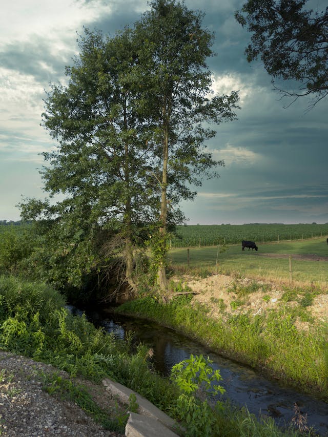 Pexels-Leslie-Saunders-2148264-28557405