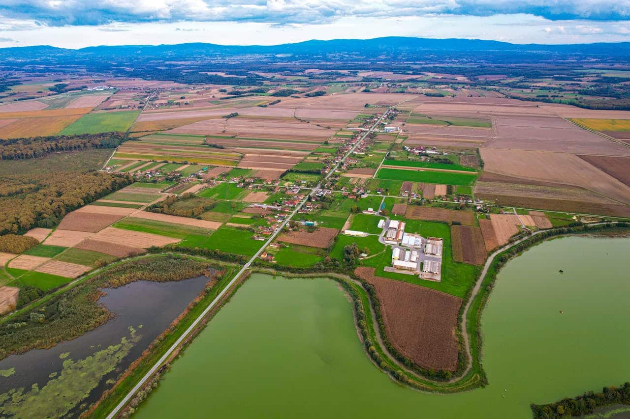 pexels-vladimirsrajber-28603620__1_-1727540060