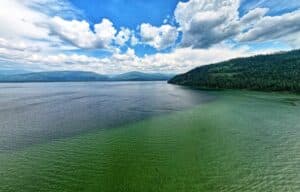 354564023_150231661397598_7982101015400768656_n-1728260860