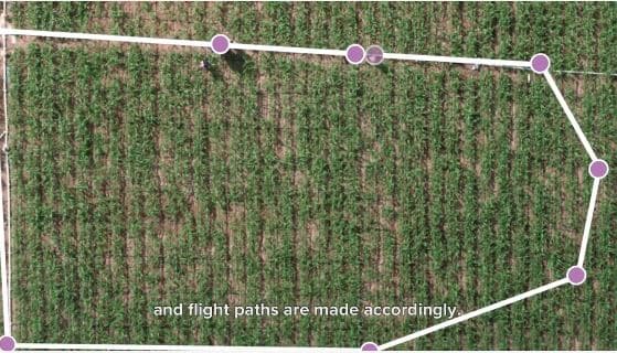 Servicios de drones agrícolas en Texas por TexasDroneServices