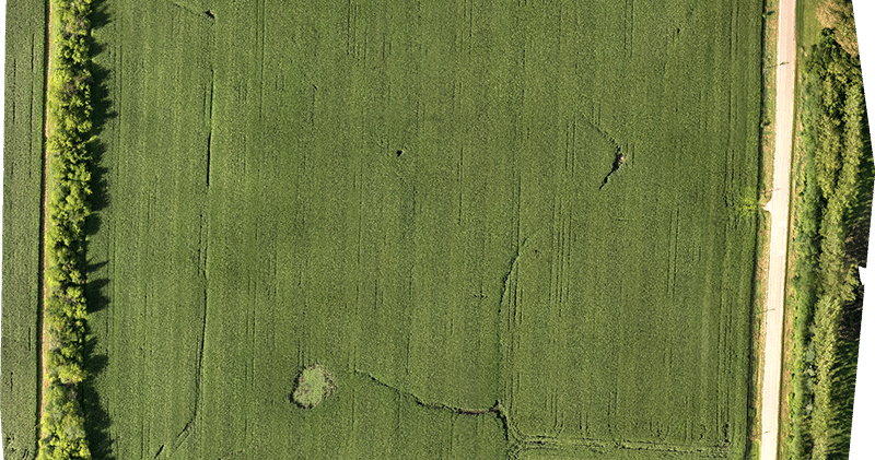 e31a6a_7bbb6f8de28647da91929617da4720f1~mv2