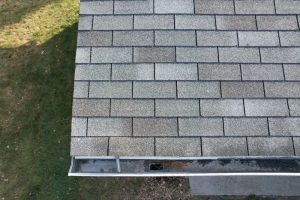 8507bb0178a900c9902d6bec4587b075-1732136867