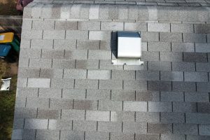 90460078f807e31241436080fcc330b6-1732136868