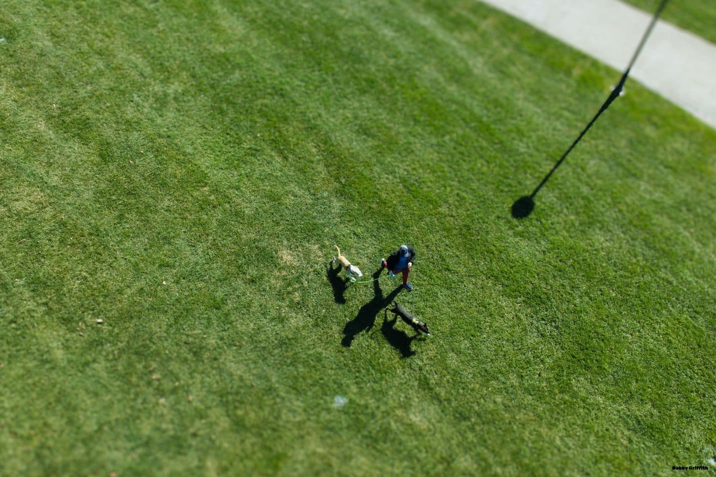 Untitled__24_x_16_in_-1730810522