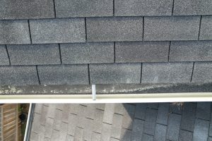 e3bf13ed1a6a5d0b2832dc0018646abe-1732136869