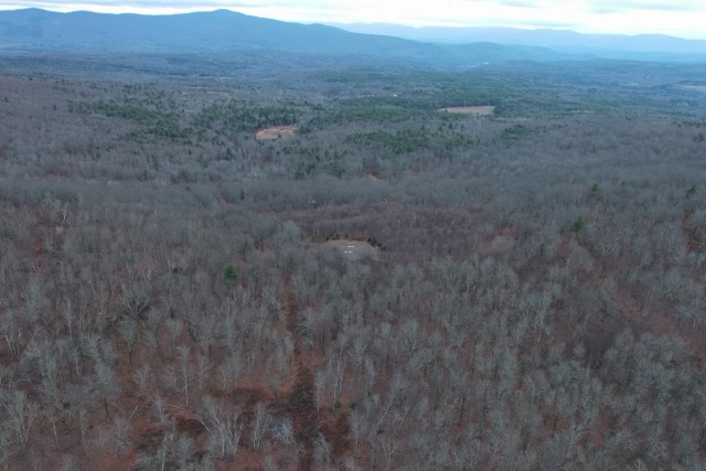 Land3_Medium-1738186170