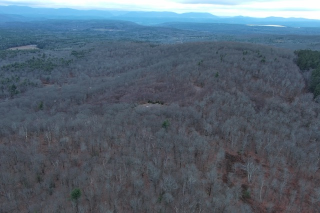 Land4_Medium-1738186170