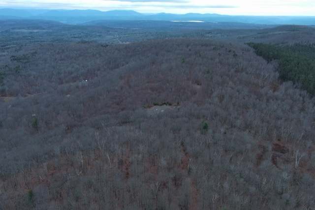 Land6_Medium-1738186171