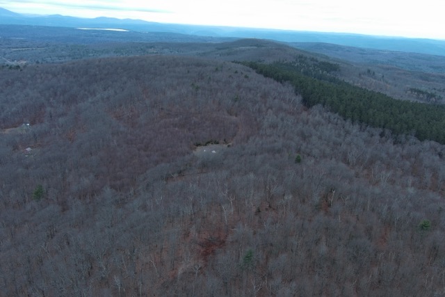 Land7_Medium-1738186171