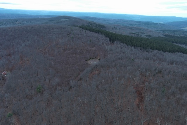 Land8_Medium-1738186171