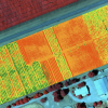 Termografía-de-imagen-multiespectral-en-Dronevet