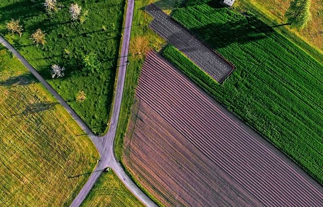 Fotografía agrícola en Pensilvania por Zenith Drone Services
