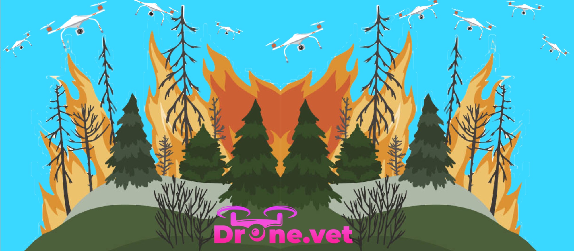 Tecnología de drones en la prevención de incendios forestales: métodos avanzados de evaluación del riesgo de incendios