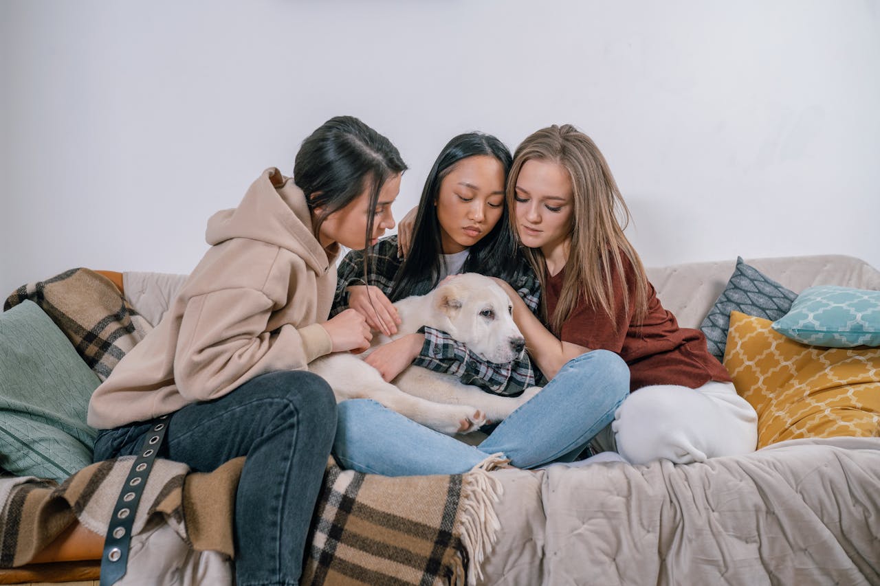 Servicios de recuperación de mascotas en Pensilvania por NEPA DRONE