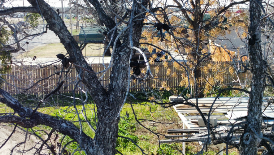 Fotografía aérea en Texas por San Angelo Aerial