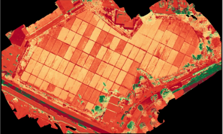 Agricultura de precisión y gestión de la tierra de vanguardia en Hawái por Hawaii Pacific Drone Solutions