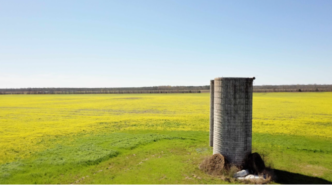 Fotografía agrícola con drones en Alabama por Aerial Scouts LLC