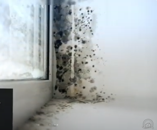 Paquete de inspección de viviendas OctoCore en Pensilvania por Fine Line Inspections