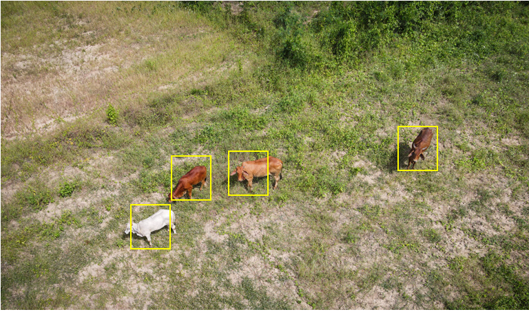 Control de rebaños, LLC